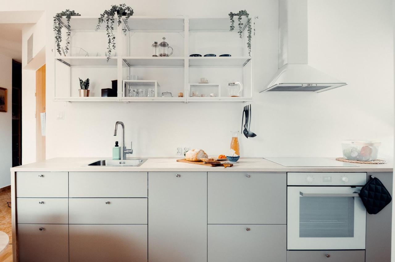 Giewont Mountain View Apartment ザコパネ エクステリア 写真
