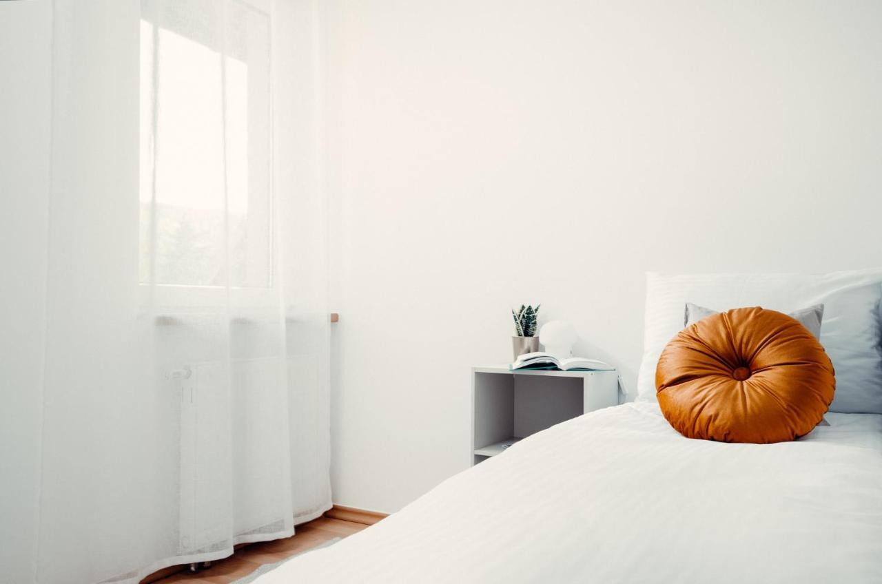 Giewont Mountain View Apartment ザコパネ エクステリア 写真