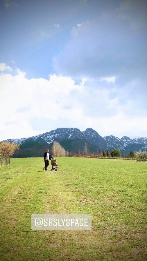 Giewont Mountain View Apartment ザコパネ エクステリア 写真