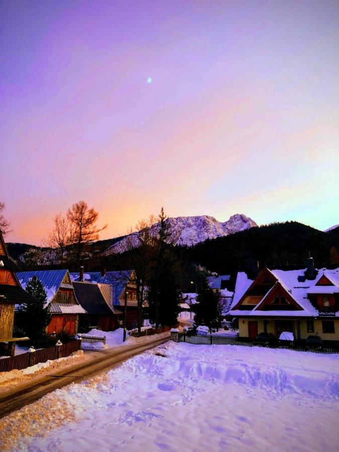 Giewont Mountain View Apartment ザコパネ エクステリア 写真