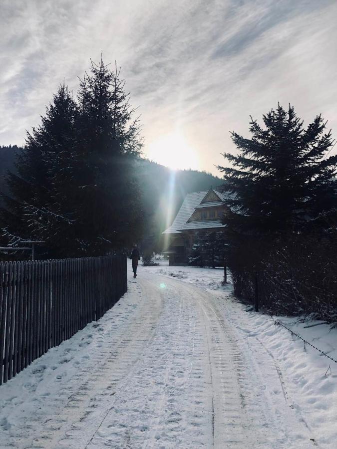 Giewont Mountain View Apartment ザコパネ エクステリア 写真